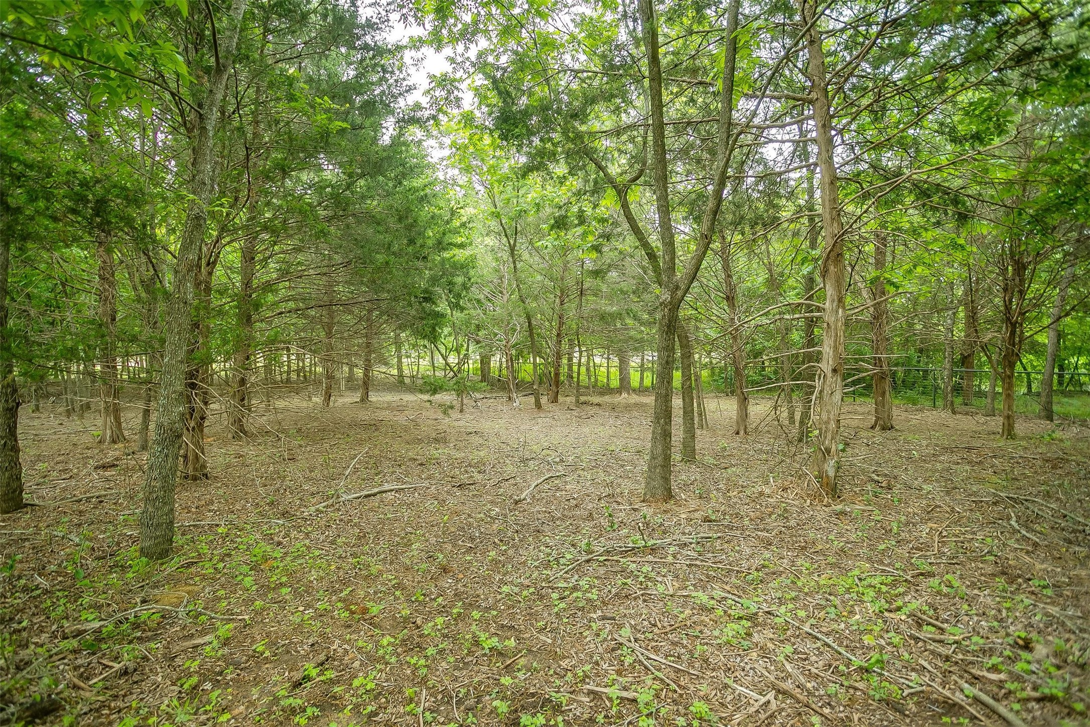 2716 E Fm 4 Cleburne TX 76031