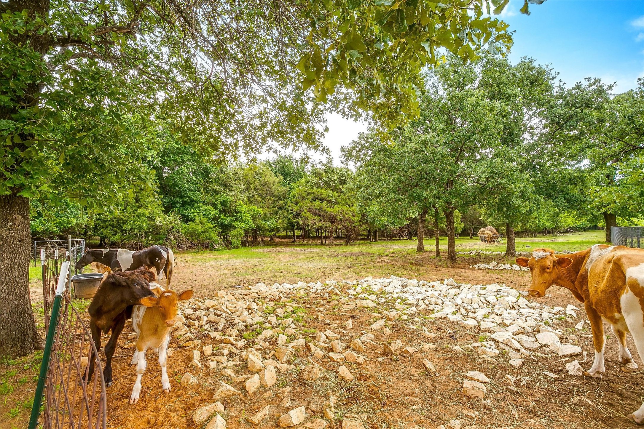 2716 E Fm 4 Cleburne TX 76031