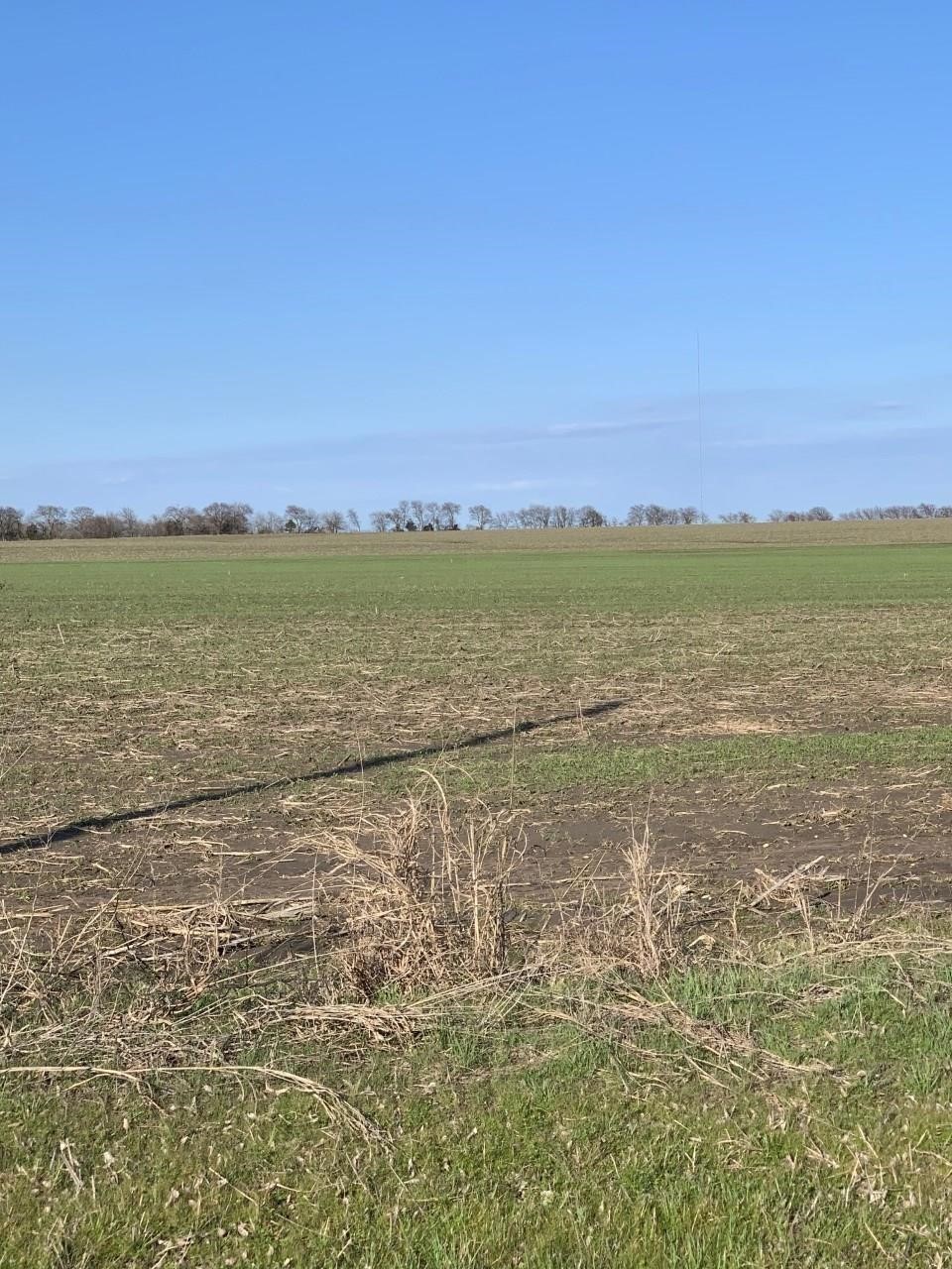 0000 Airport Road Tioga TX 76271