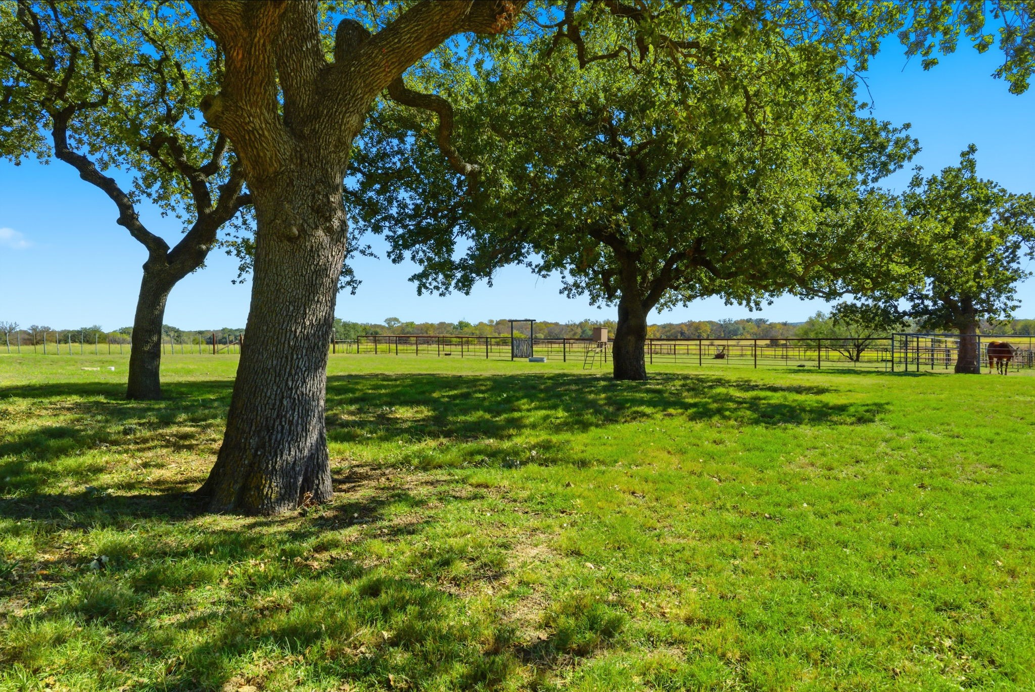 15200A Choice Acres Court Lipan TX 76462