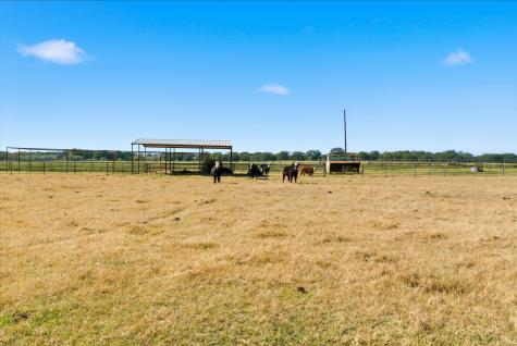 15200A Choice Acres Court Lipan TX 76462