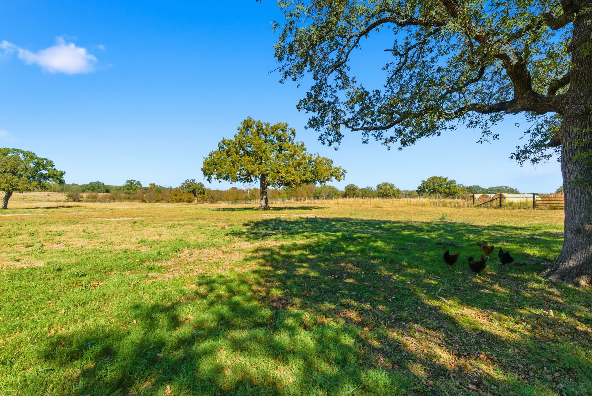 15200A Choice Acres Court Lipan TX 76462