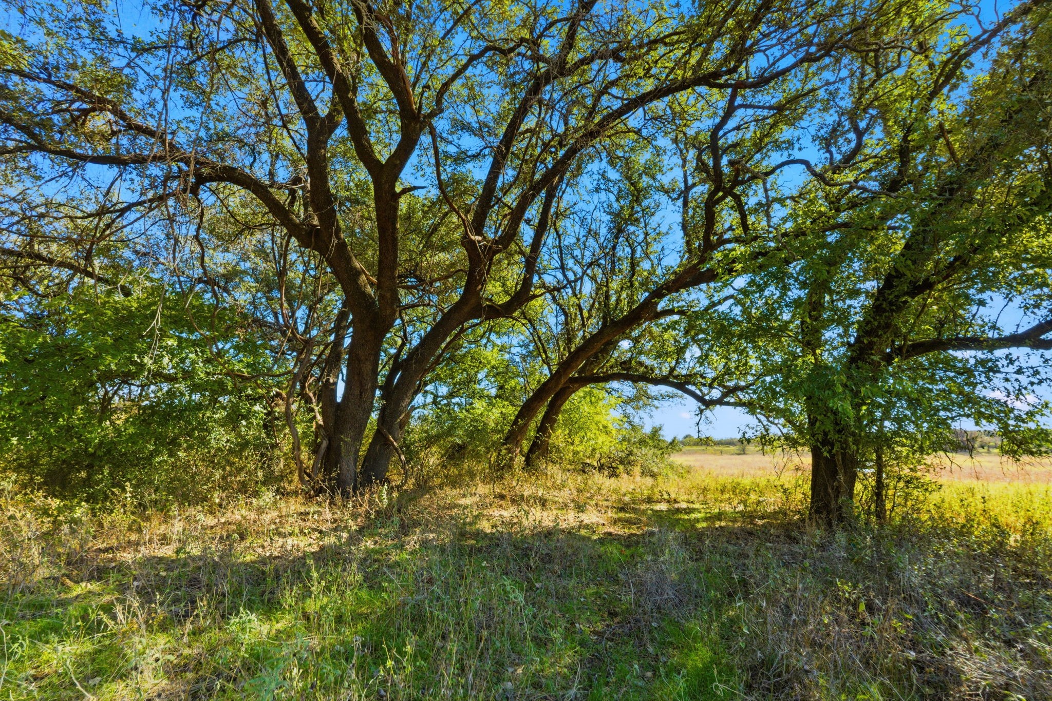 15200A Choice Acres Court Lipan TX 76462