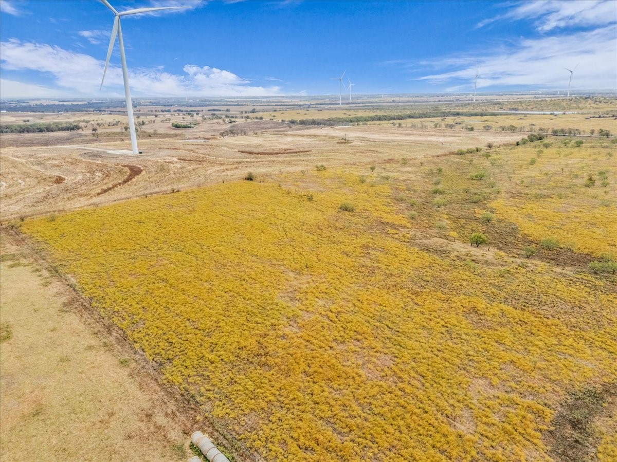 Tbd County Road 3254 Mount Calm TX 76673