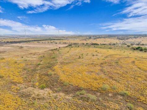 Tbd County Road 3254 Mount Calm TX 76673