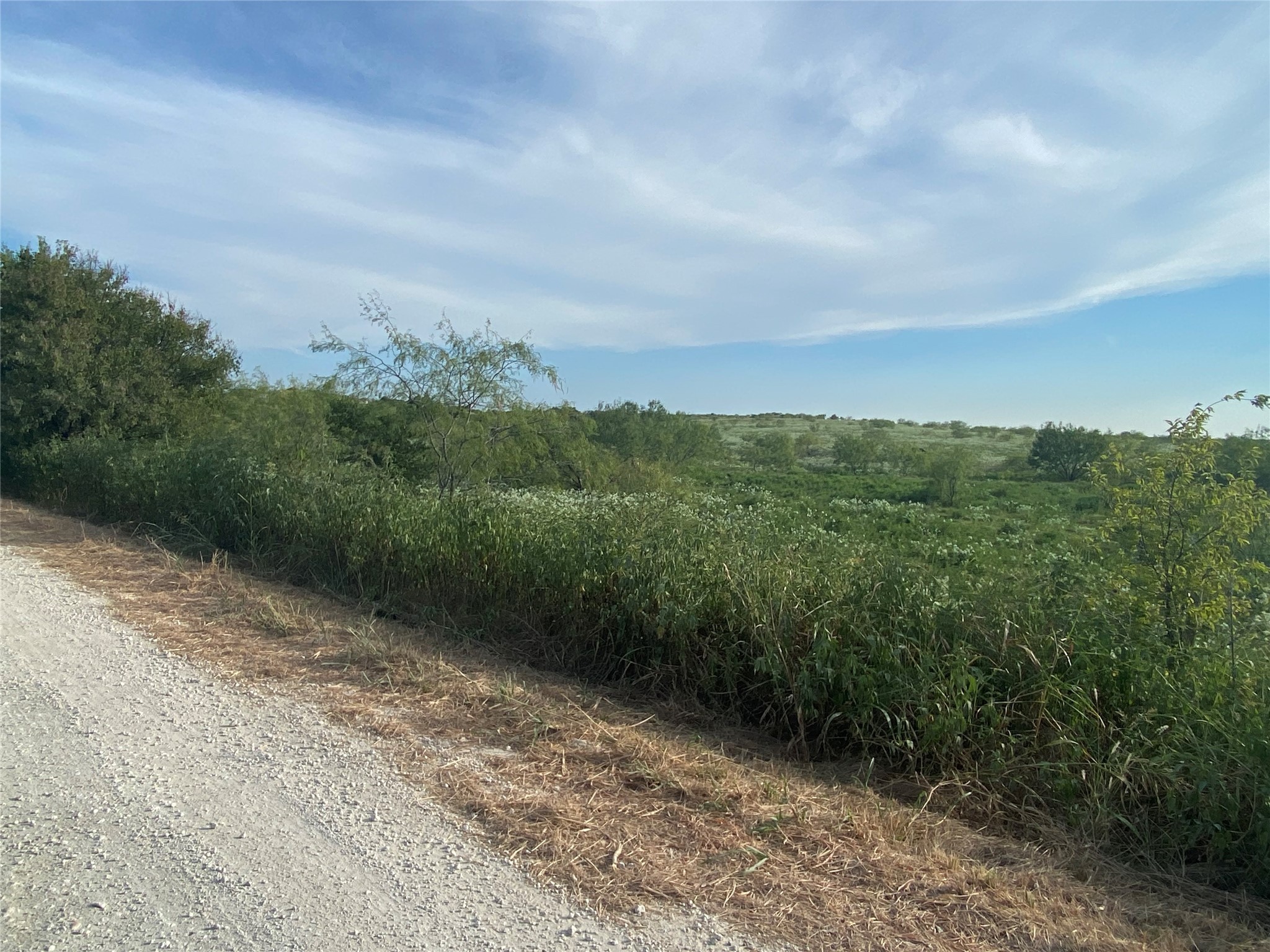 Tbd County Road 3254 Mount Calm TX 76673