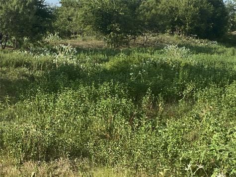 Tbd County Road 3254 Mount Calm TX 76673