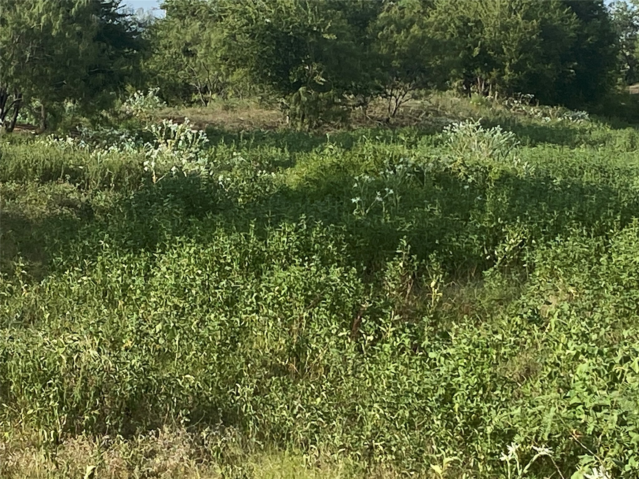 Tbd County Road 3254 Mount Calm TX 76673