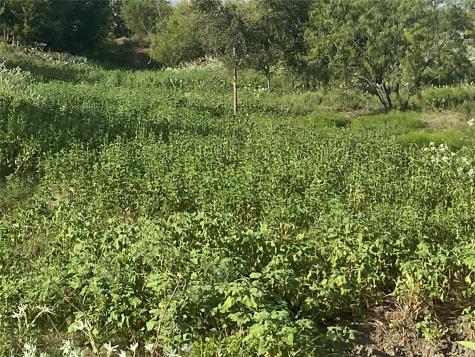 Tbd County Road 3254 Mount Calm TX 76673