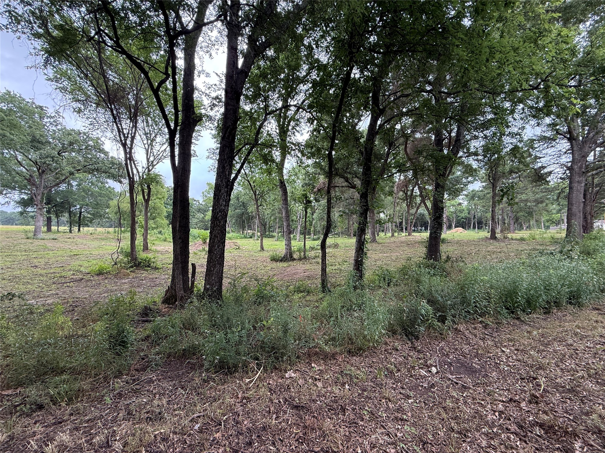 200 Livingston Street Edgewood TX 75117
