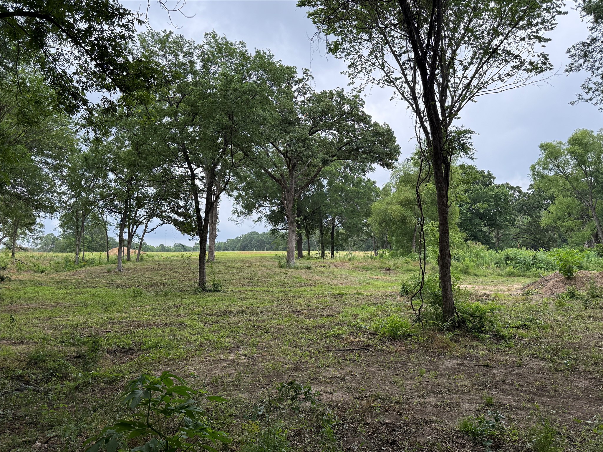 200 Livingston Street Edgewood TX 75117