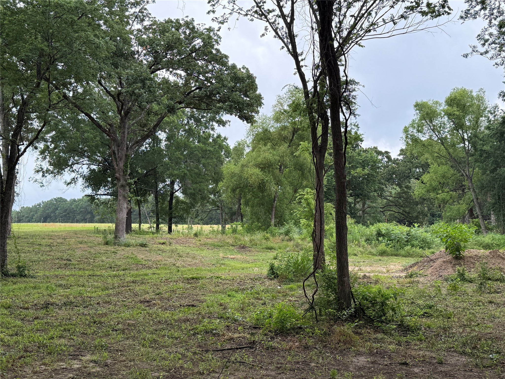200 Livingston Street Edgewood TX 75117