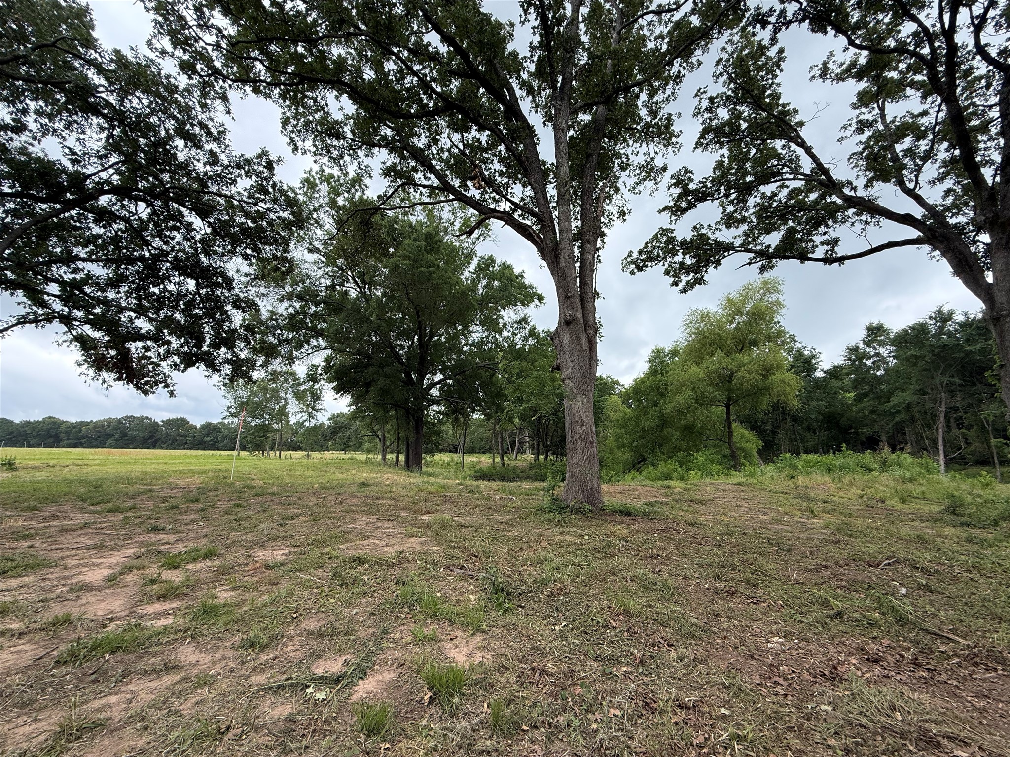 200 Livingston Street Edgewood TX 75117