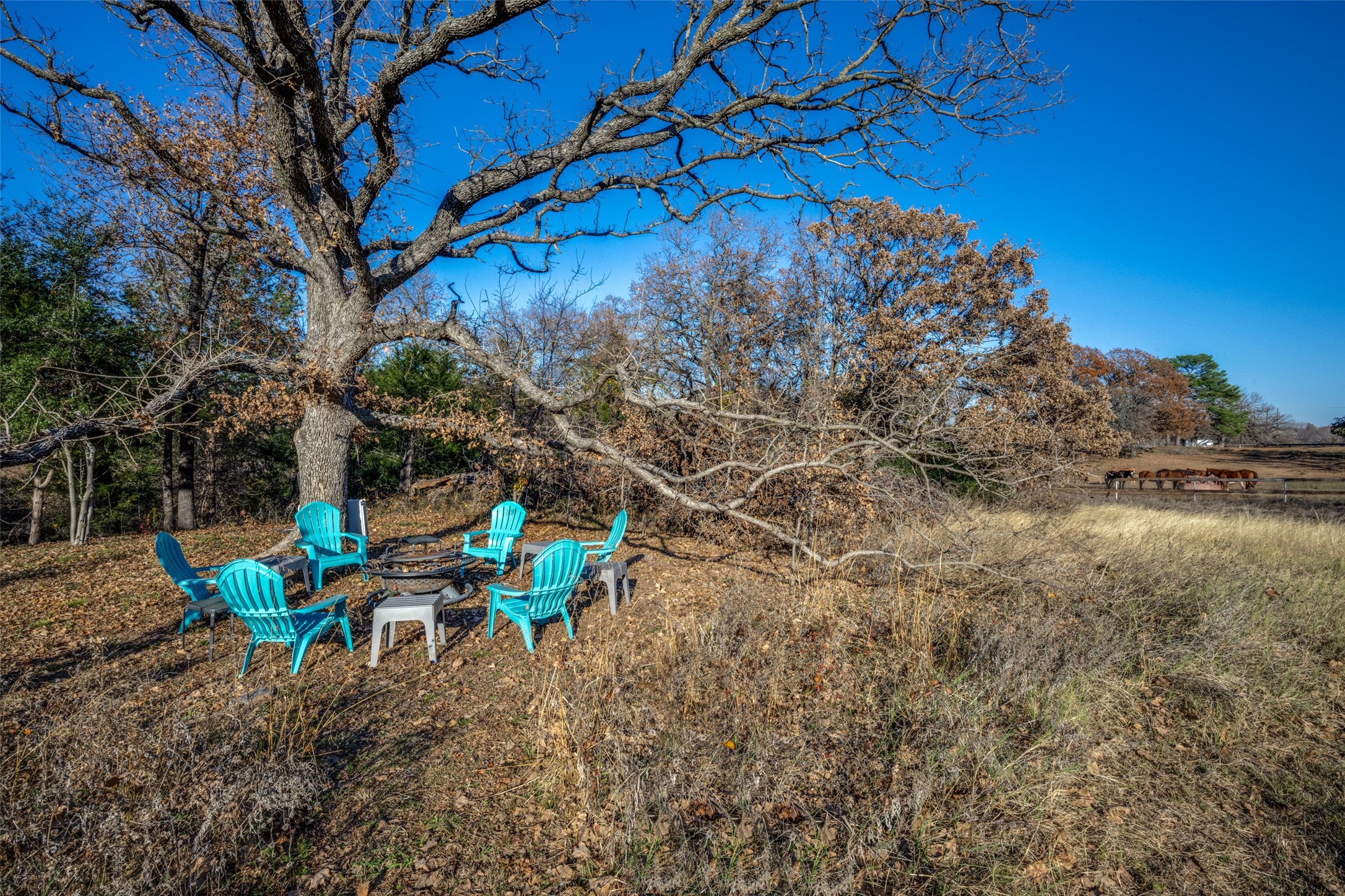 403 Woodland Drive Copper Canyon TX 75077