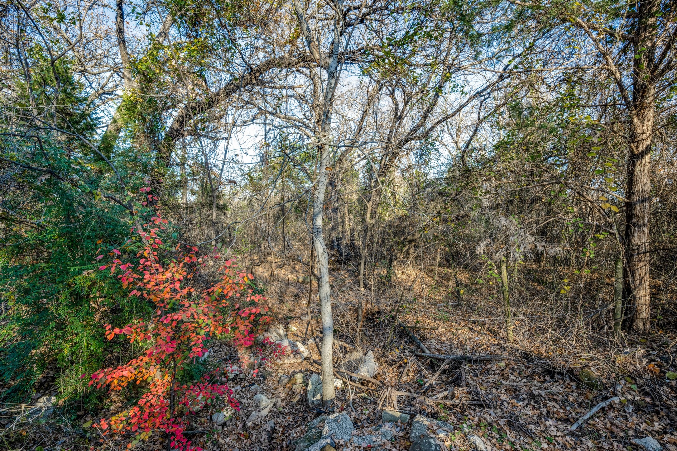 403 Woodland Drive Copper Canyon TX 75077