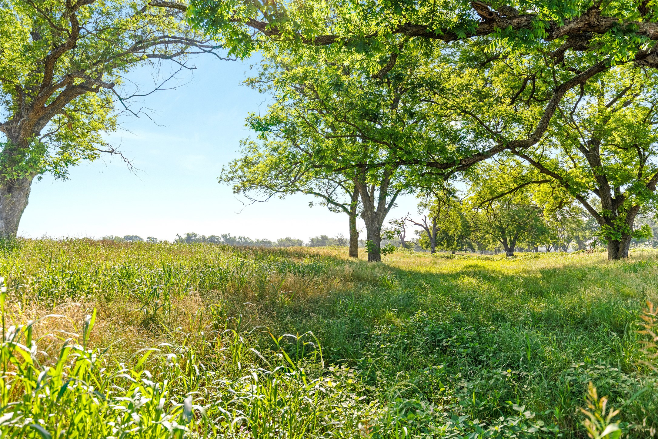 32.07 Ac. Riverfront Tbd Highway 6 Valley Mills TX 76689