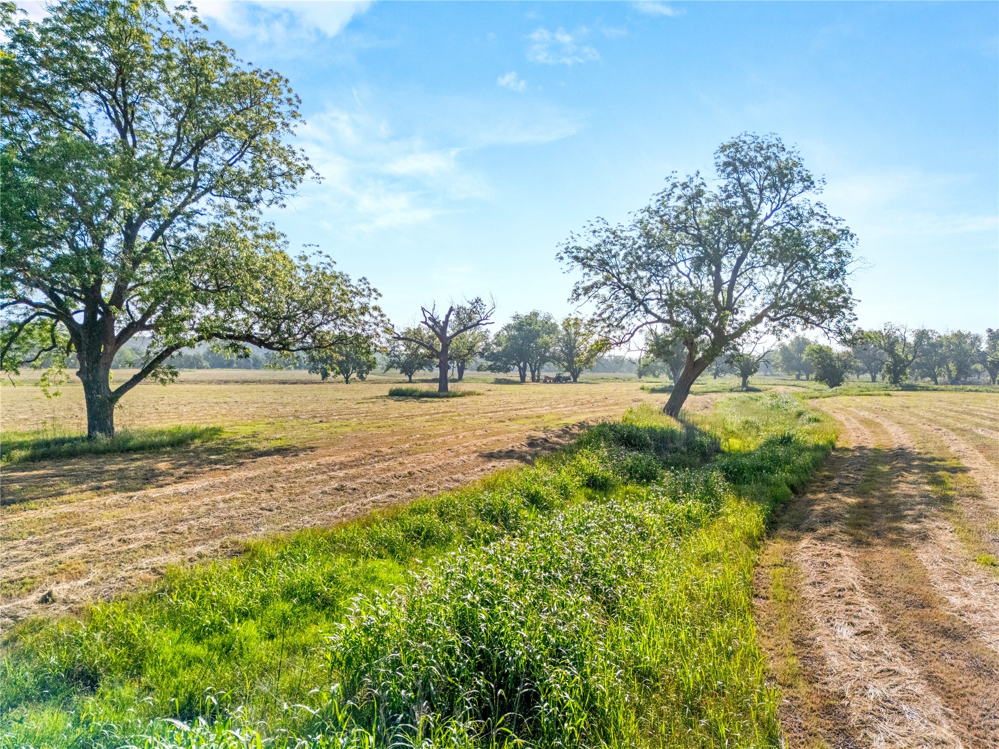 32.07 Ac. Riverfront Tbd Highway 6 Valley Mills TX 76689