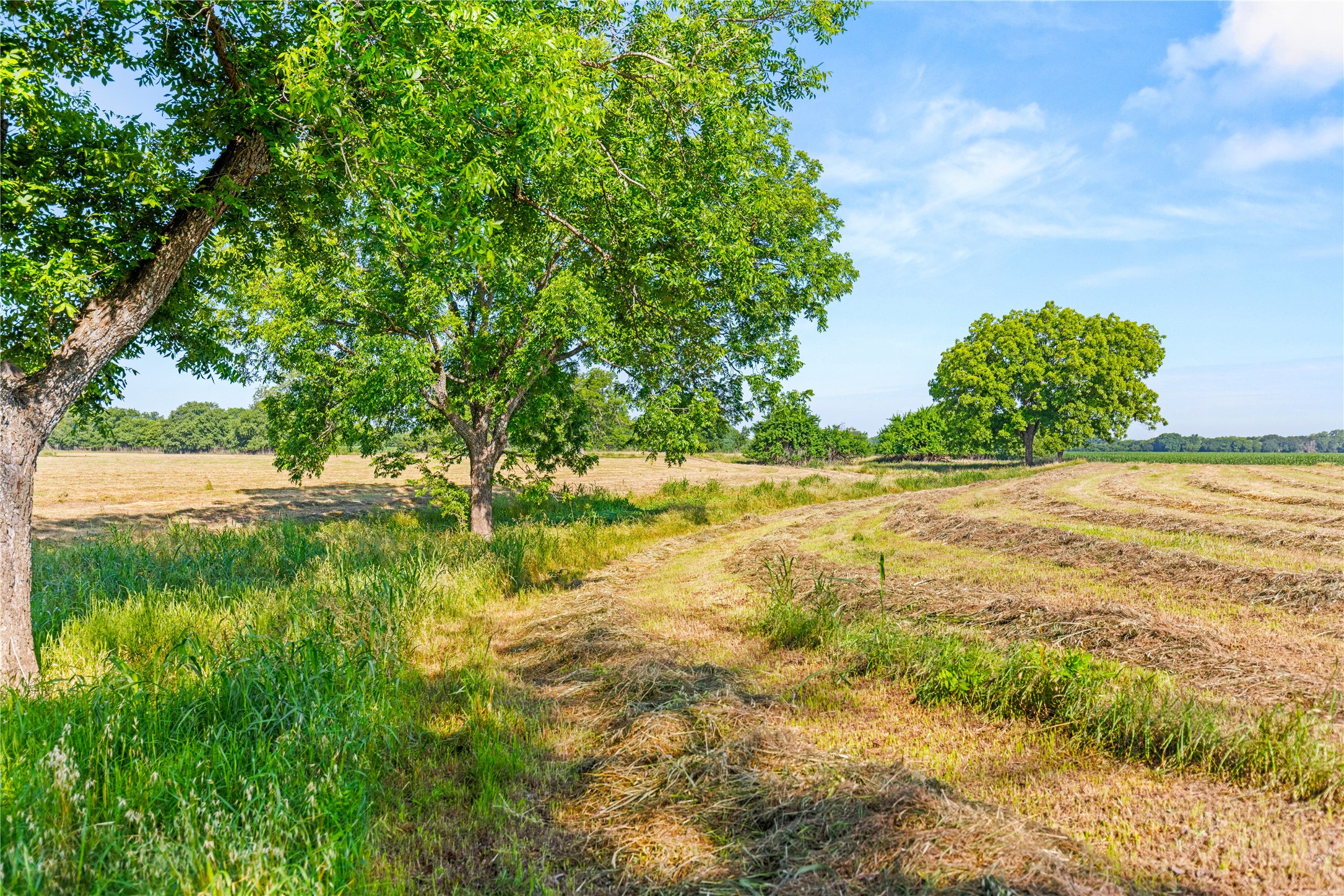 32.07 Ac. Riverfront Tbd Highway 6 Valley Mills TX 76689