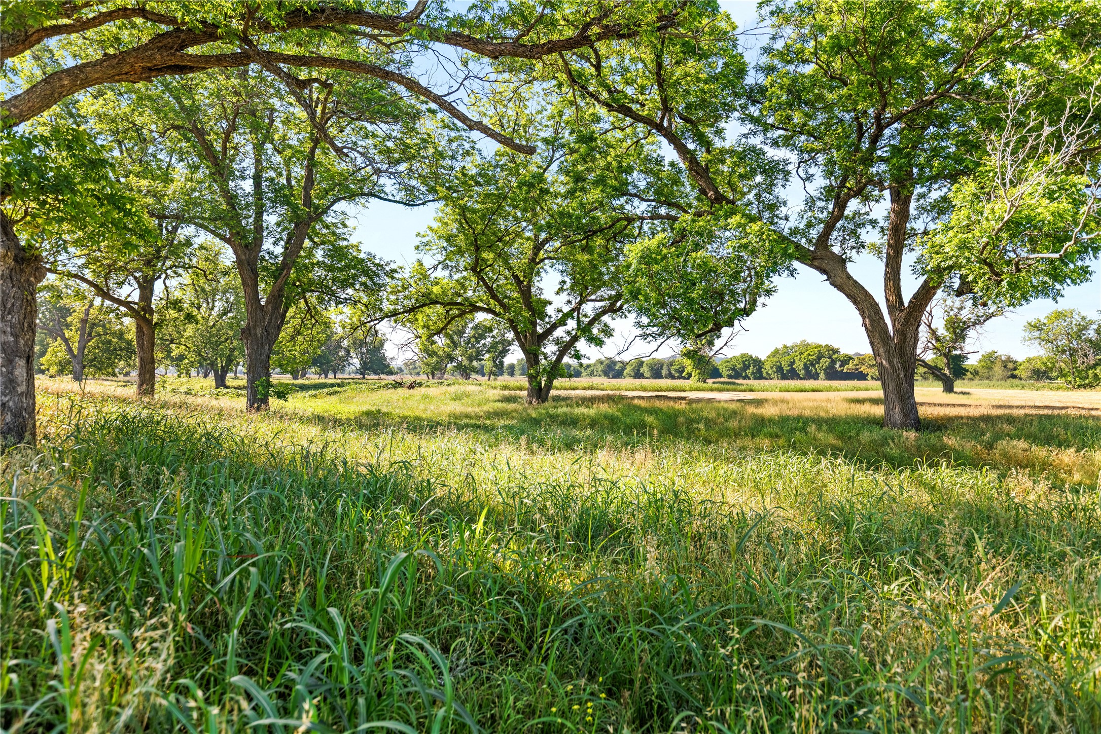 32.07 Ac. Riverfront Tbd Highway 6 Valley Mills TX 76689