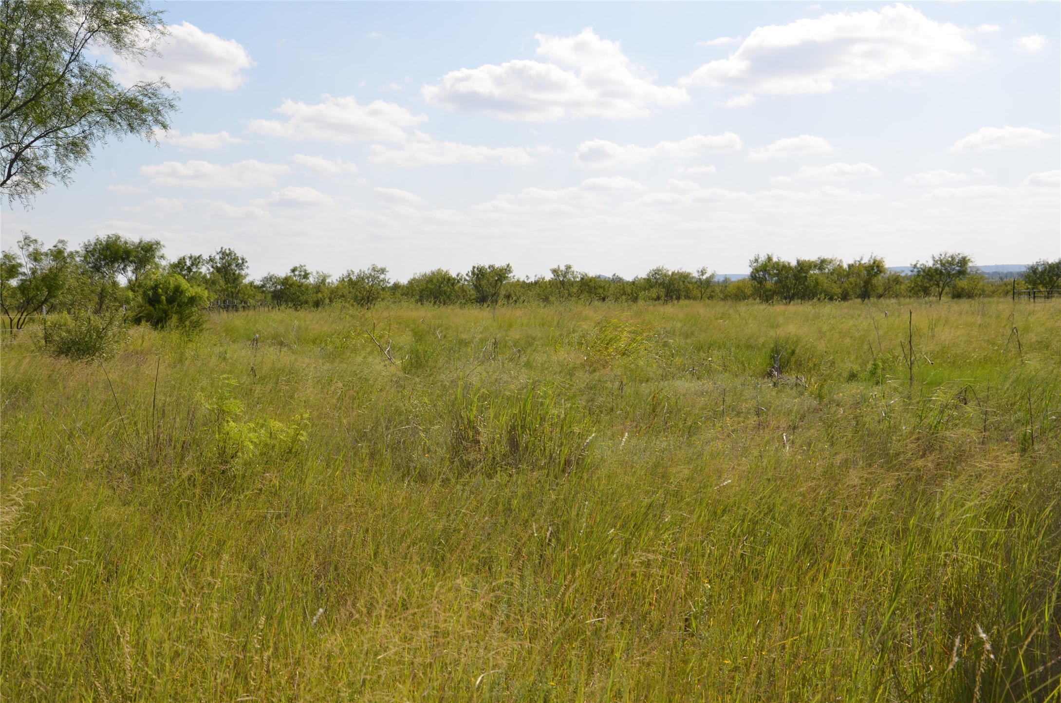 Tbd Cr 212 Wingate TX 79566