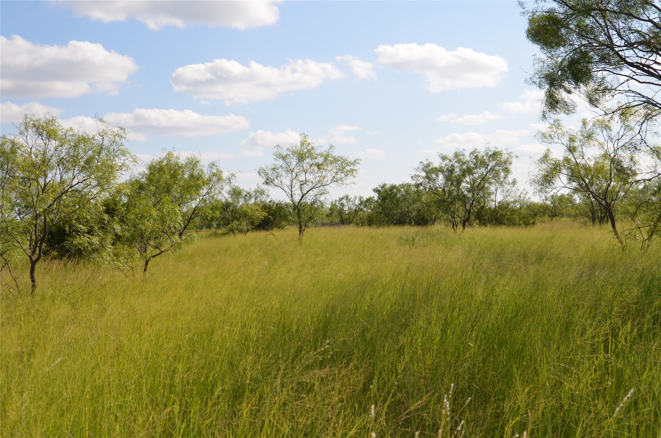Tbd Cr 212 Wingate TX 79566