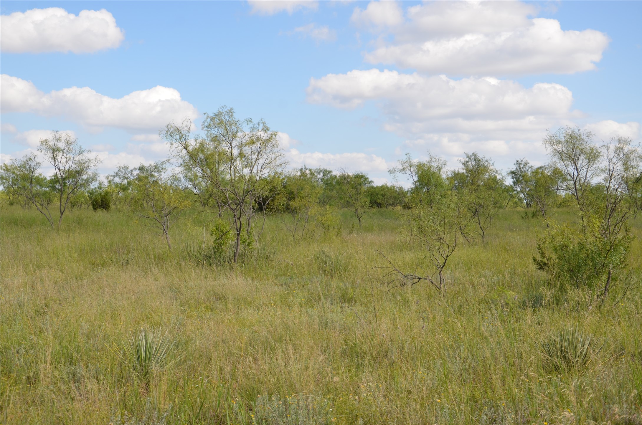 Tbd Cr 212 Wingate TX 79566