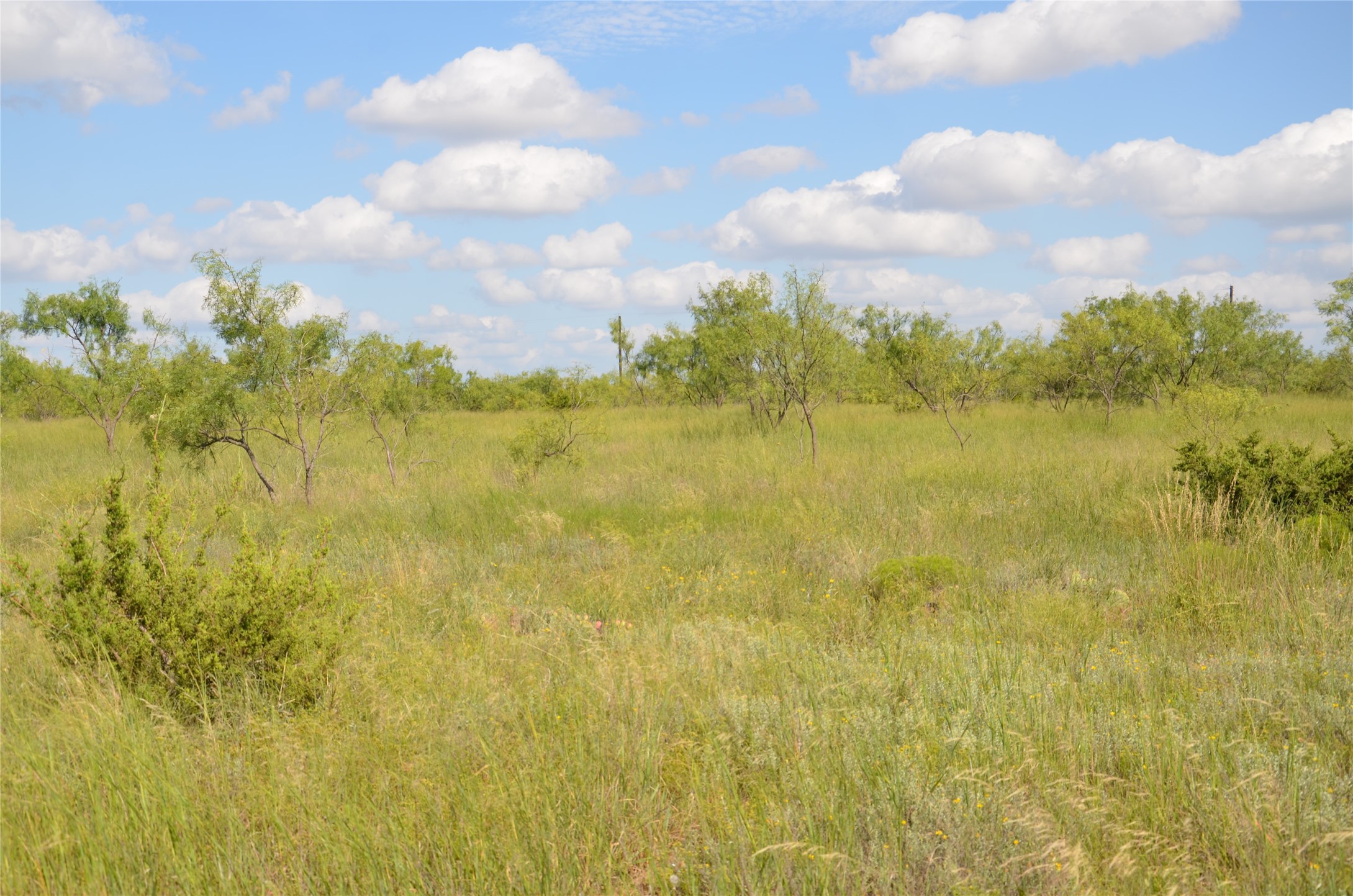 Tbd Cr 212 Wingate TX 79566