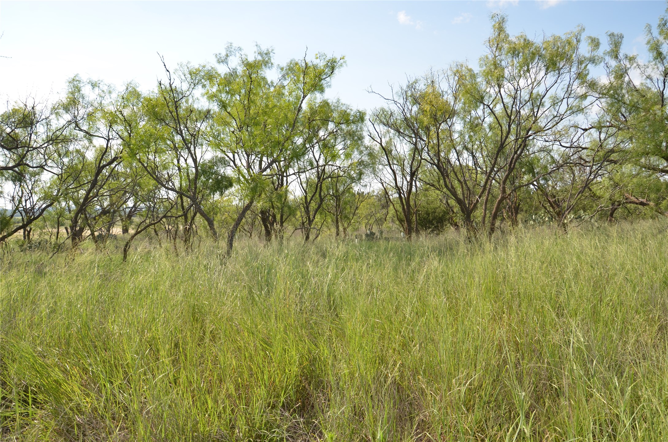 Tbd Cr 212 Wingate TX 79566