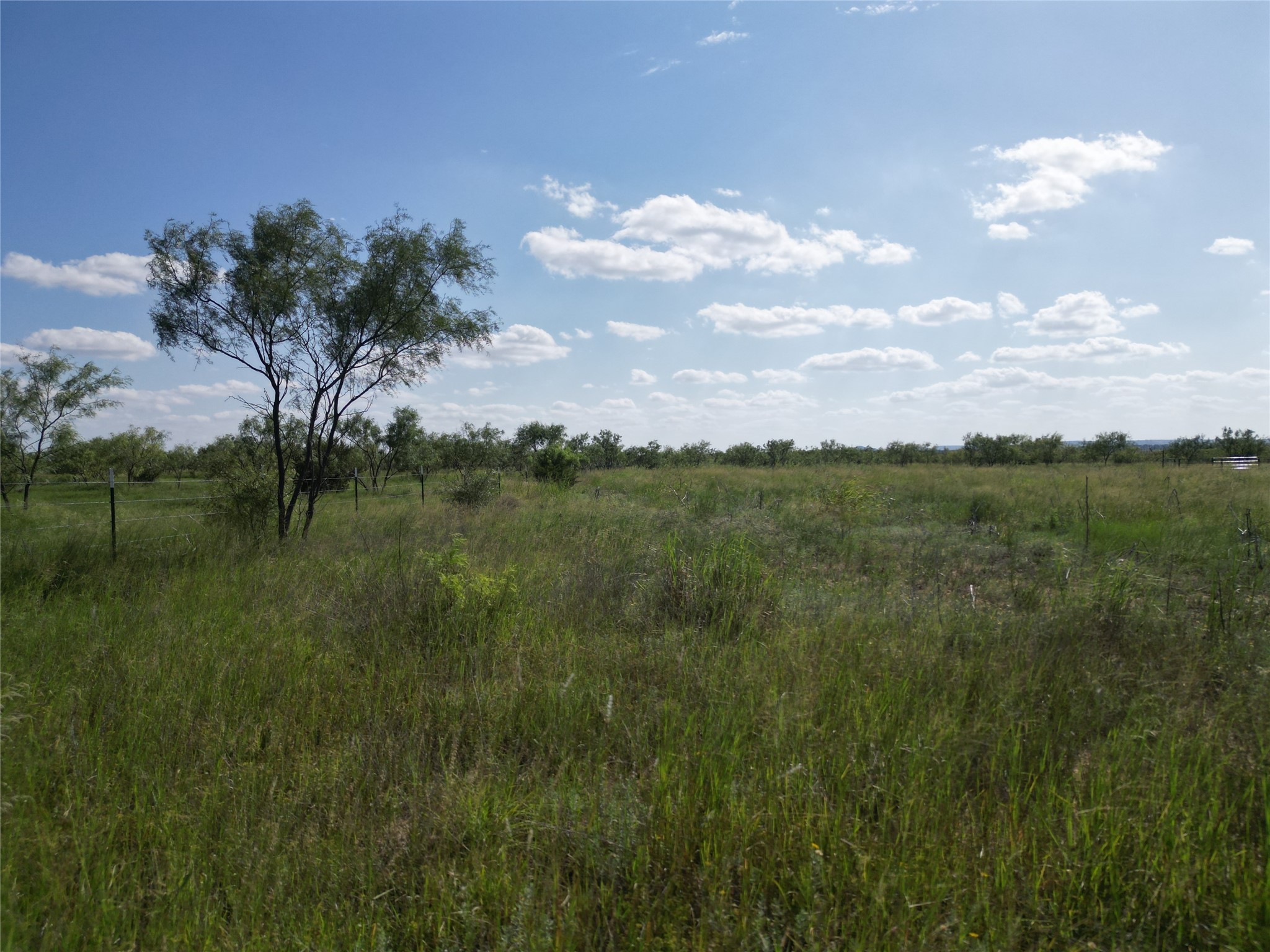 Tbd Cr 212 Wingate TX 79566