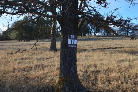 508 Dually Trail Weatherford TX 76087