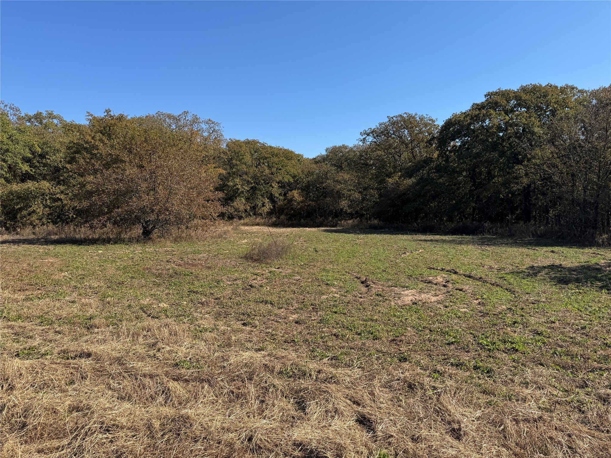 Lot 2 Tbd County Road 2798 Alvord TX 76225