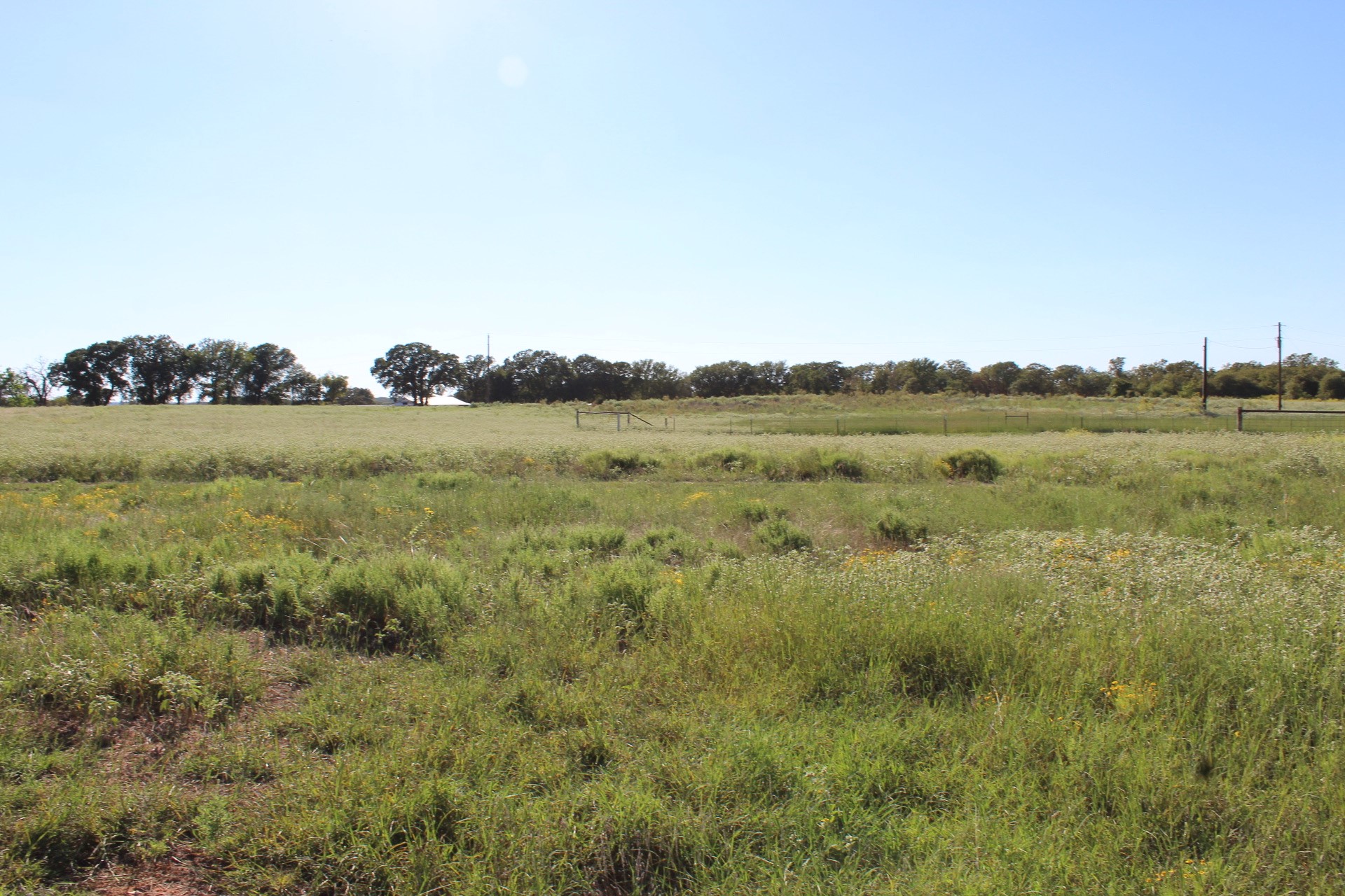 Lot 2 Tbd County Road 2798 Alvord TX 76225