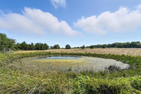 138 Acres County Road 1124 Farmersville TX 75442