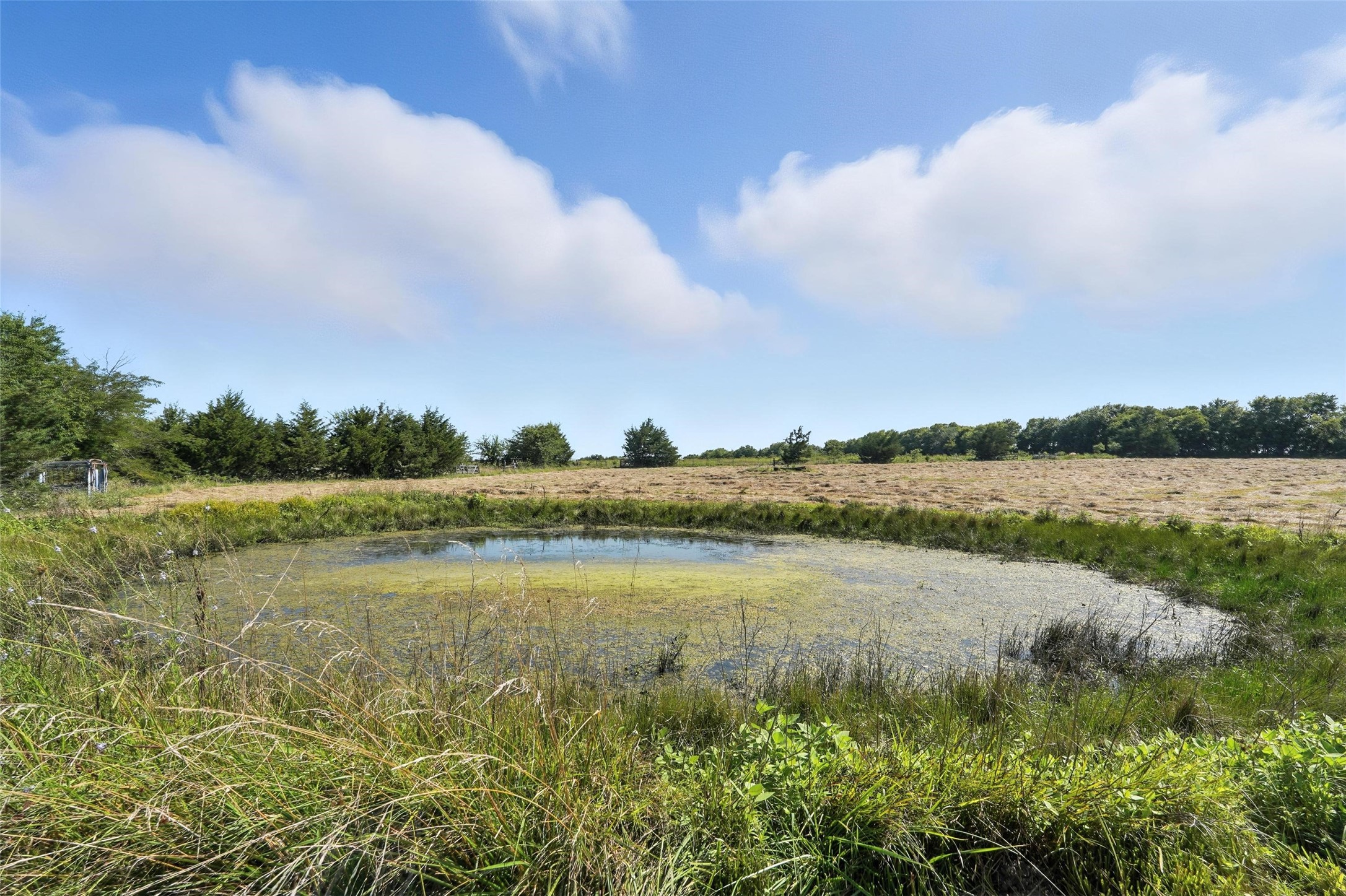 138 Acres County Road 1124 Farmersville TX 75442