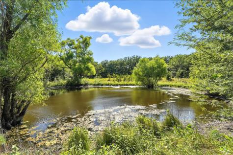 138 Acres County Road 1124 Farmersville TX 75442