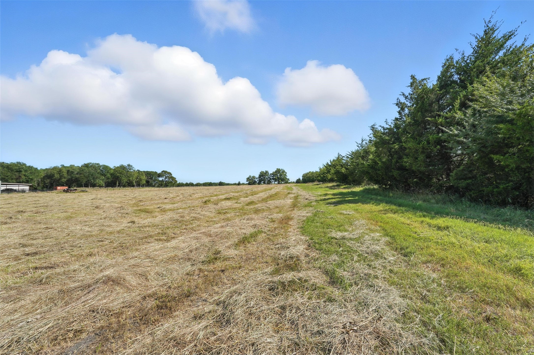 138 Acres County Road 1124 Farmersville TX 75442