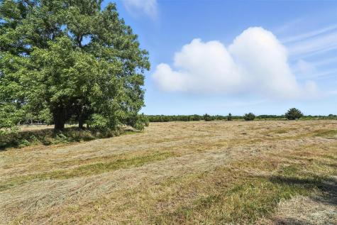 138 Acres County Road 1124 Farmersville TX 75442