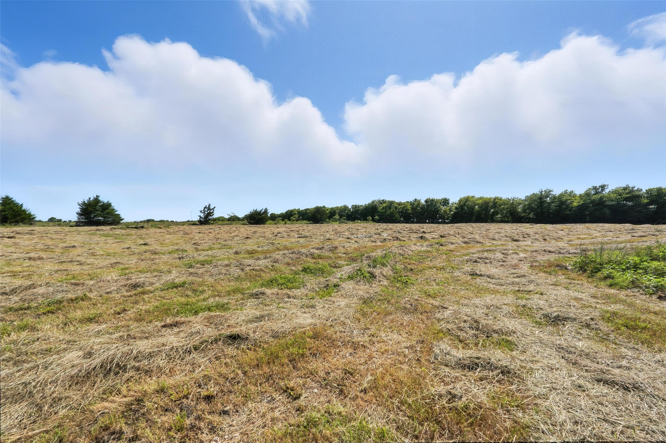138 Acres County Road 1124 Farmersville TX 75442