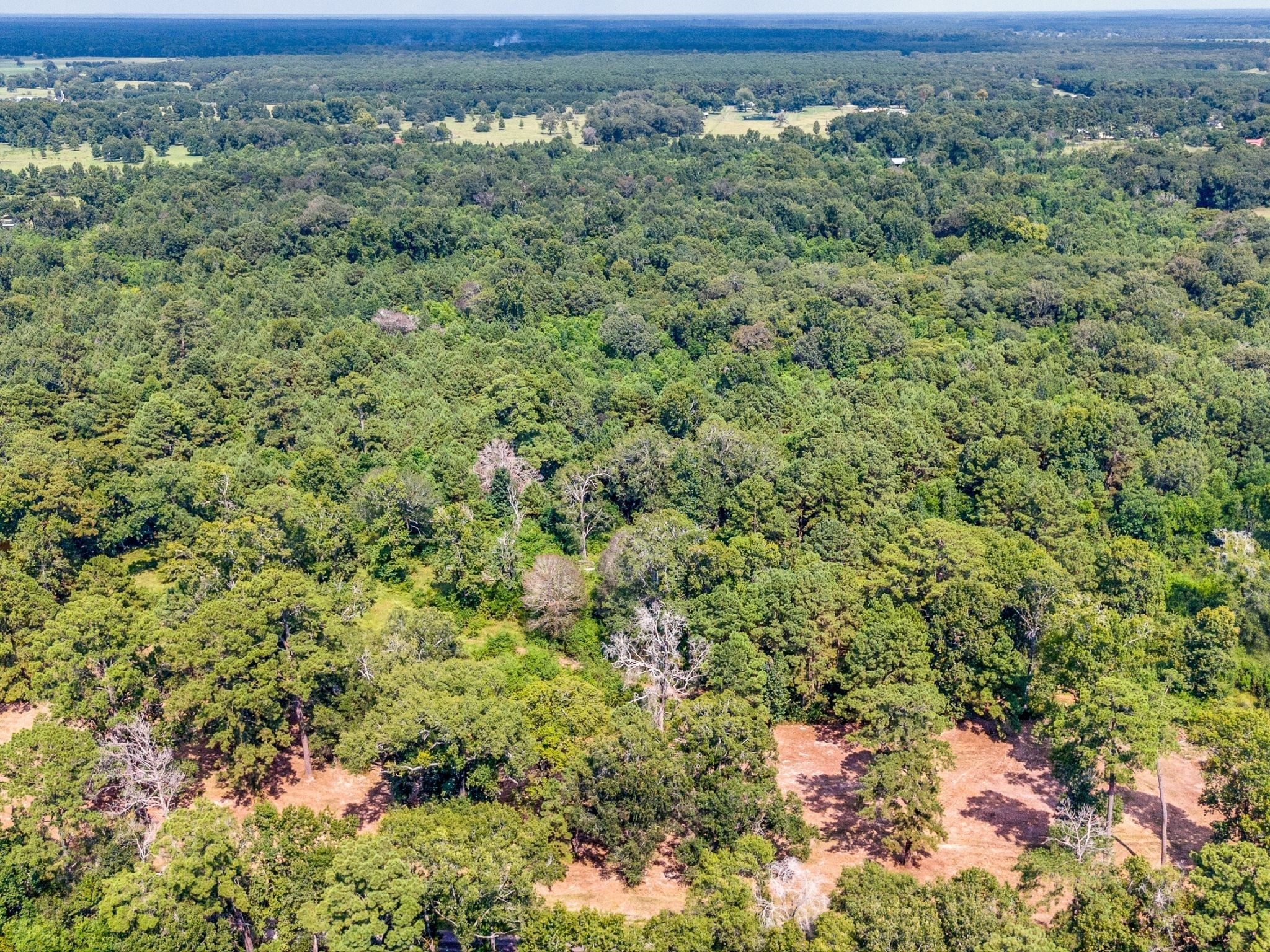 1094 Cr 2060 Hardin TX 77564
