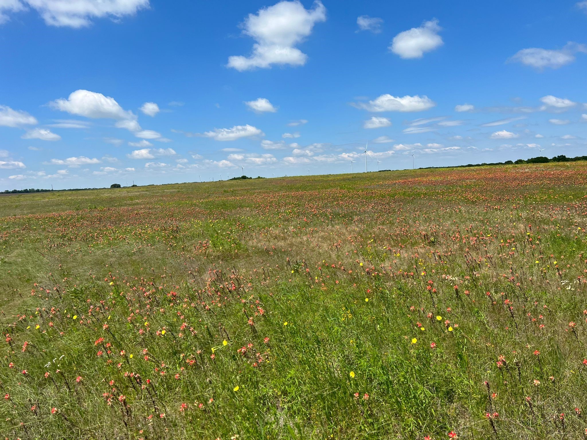 Tbd Hcr 3373 Hubbard TX 76648
