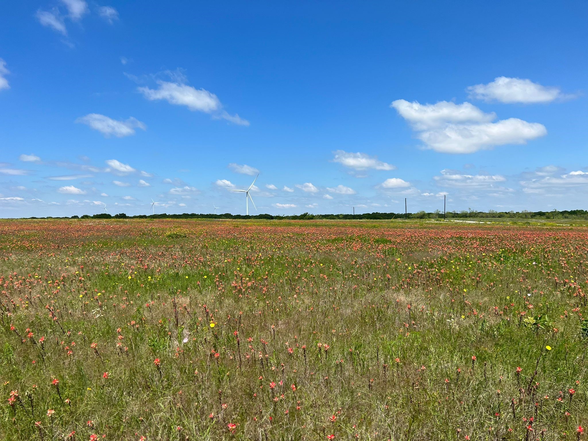 Tbd Hcr 3373 Hubbard TX 76648