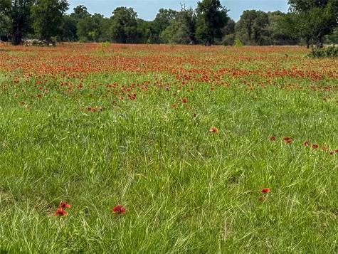 2429 County Road 411 W Brownwood TX 76801