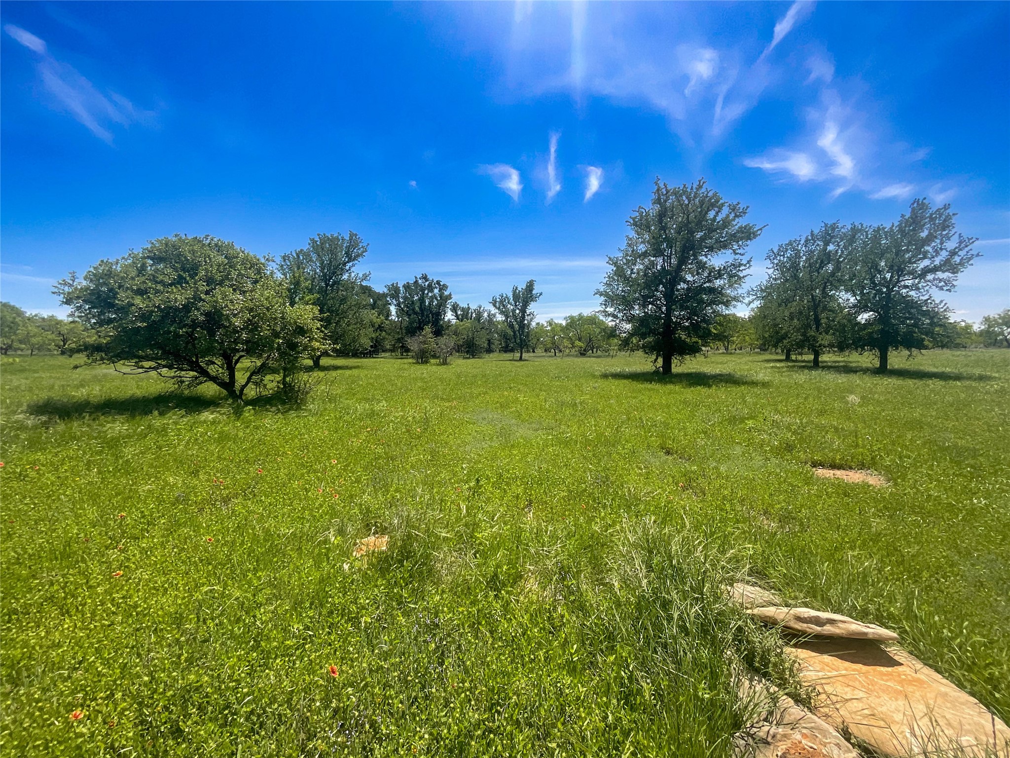 2429 County Road 411 W Brownwood TX 76801