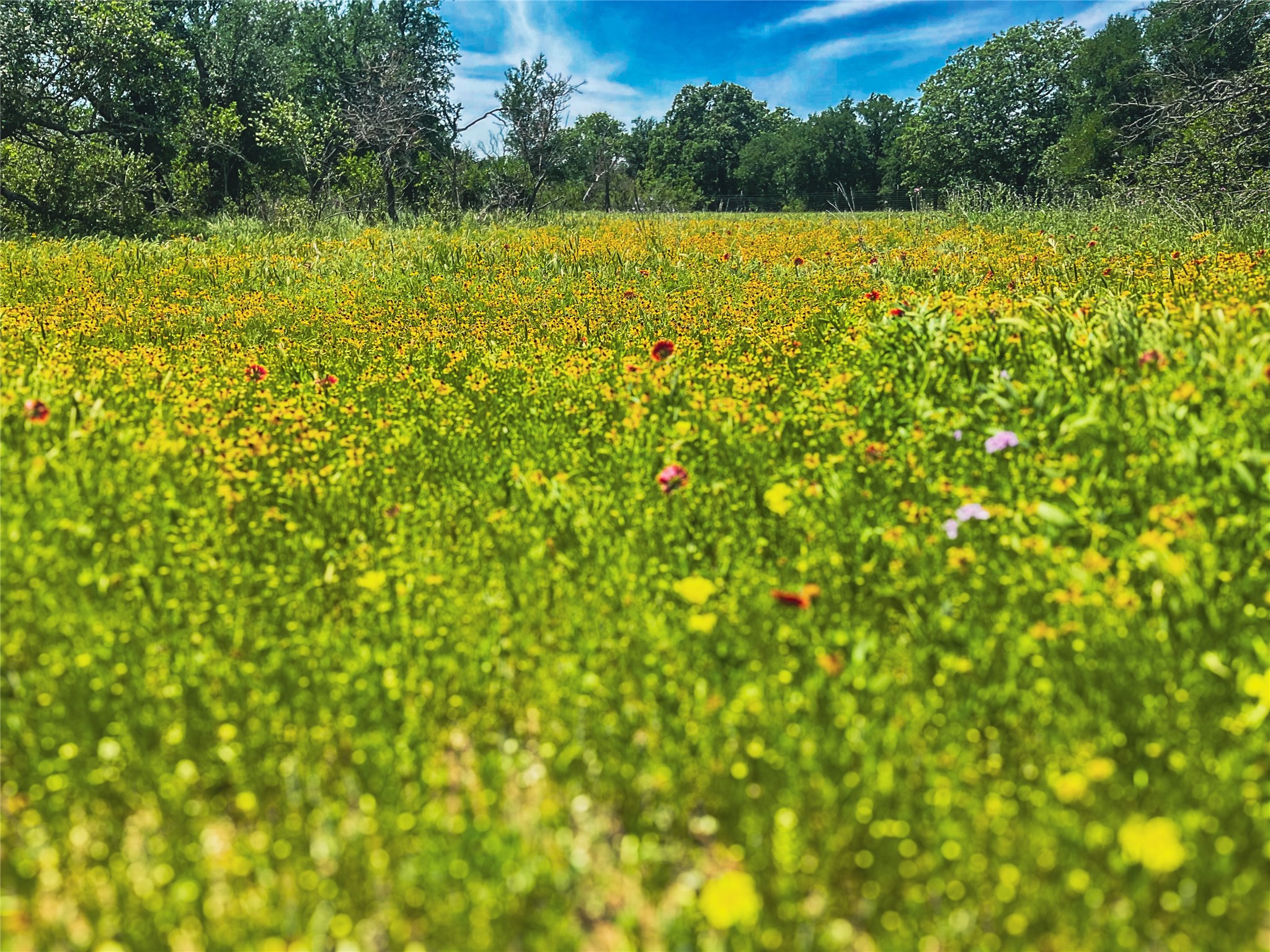 2429 County Road 411 W Brownwood TX 76801