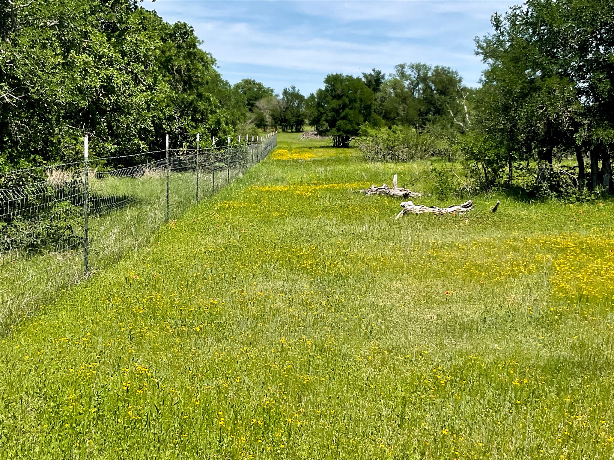 2429 County Road 411 W Brownwood TX 76801