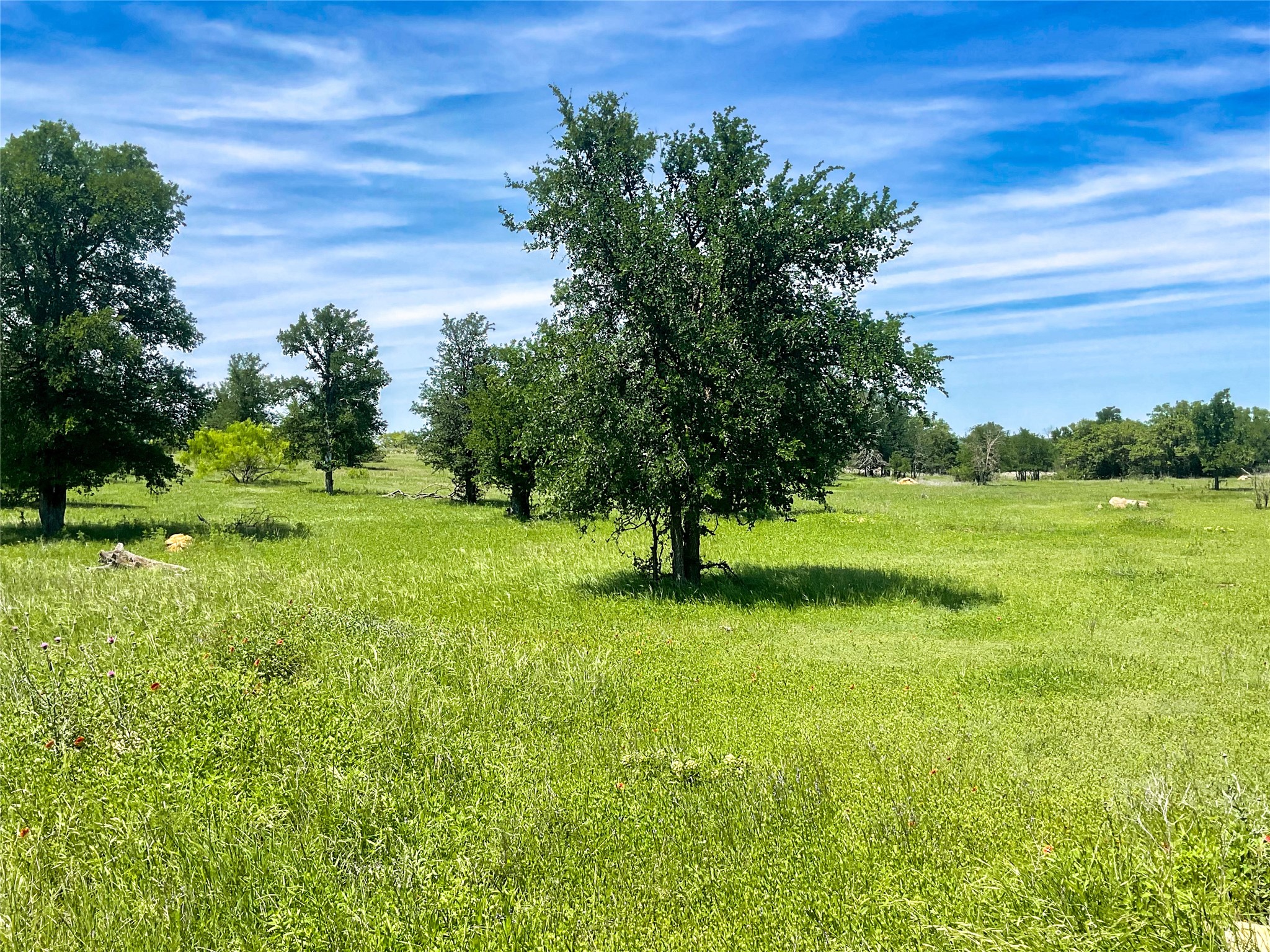 2429 County Road 411 W Brownwood TX 76801