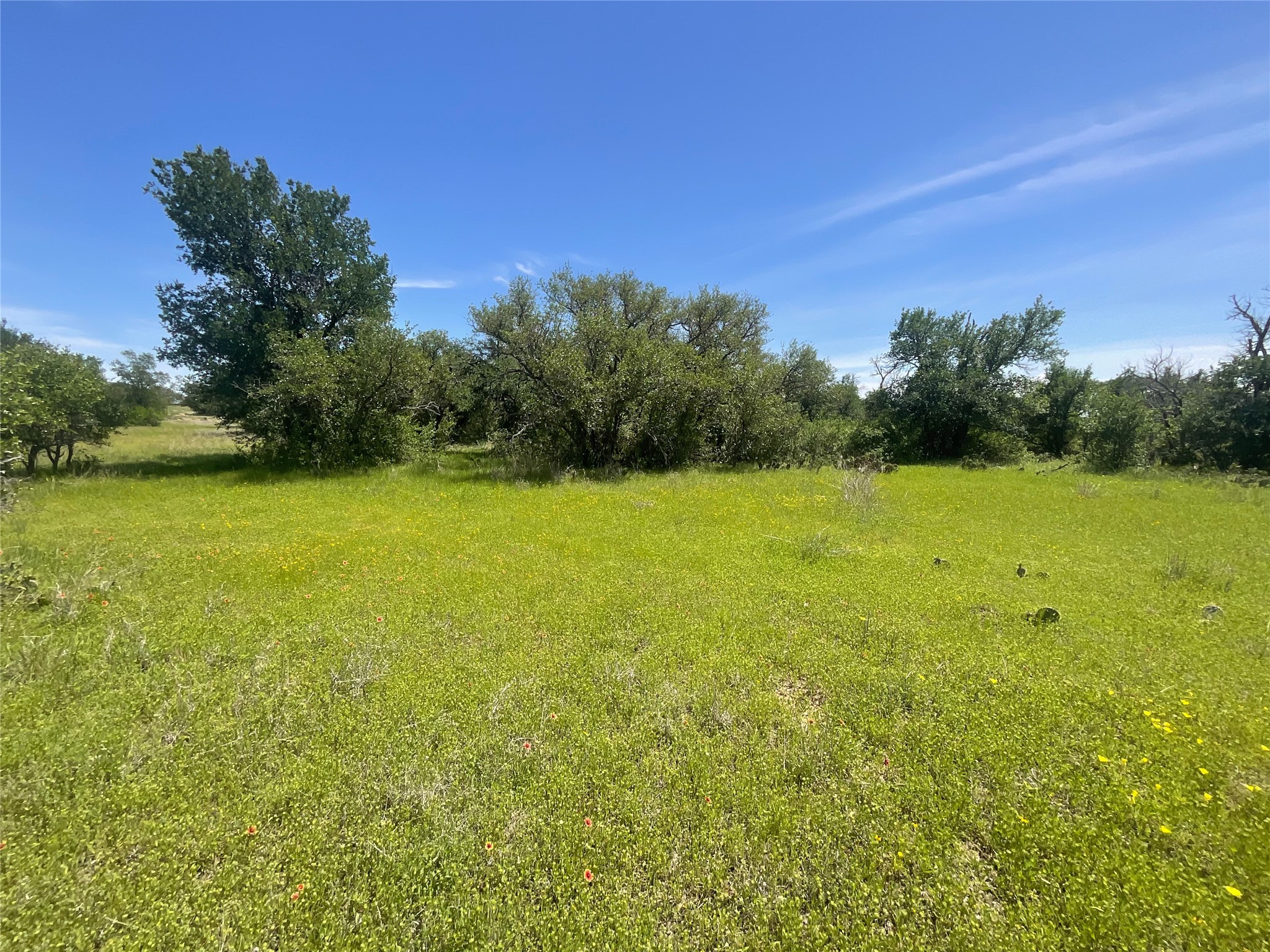 2429 County Road 411 W Brownwood TX 76801