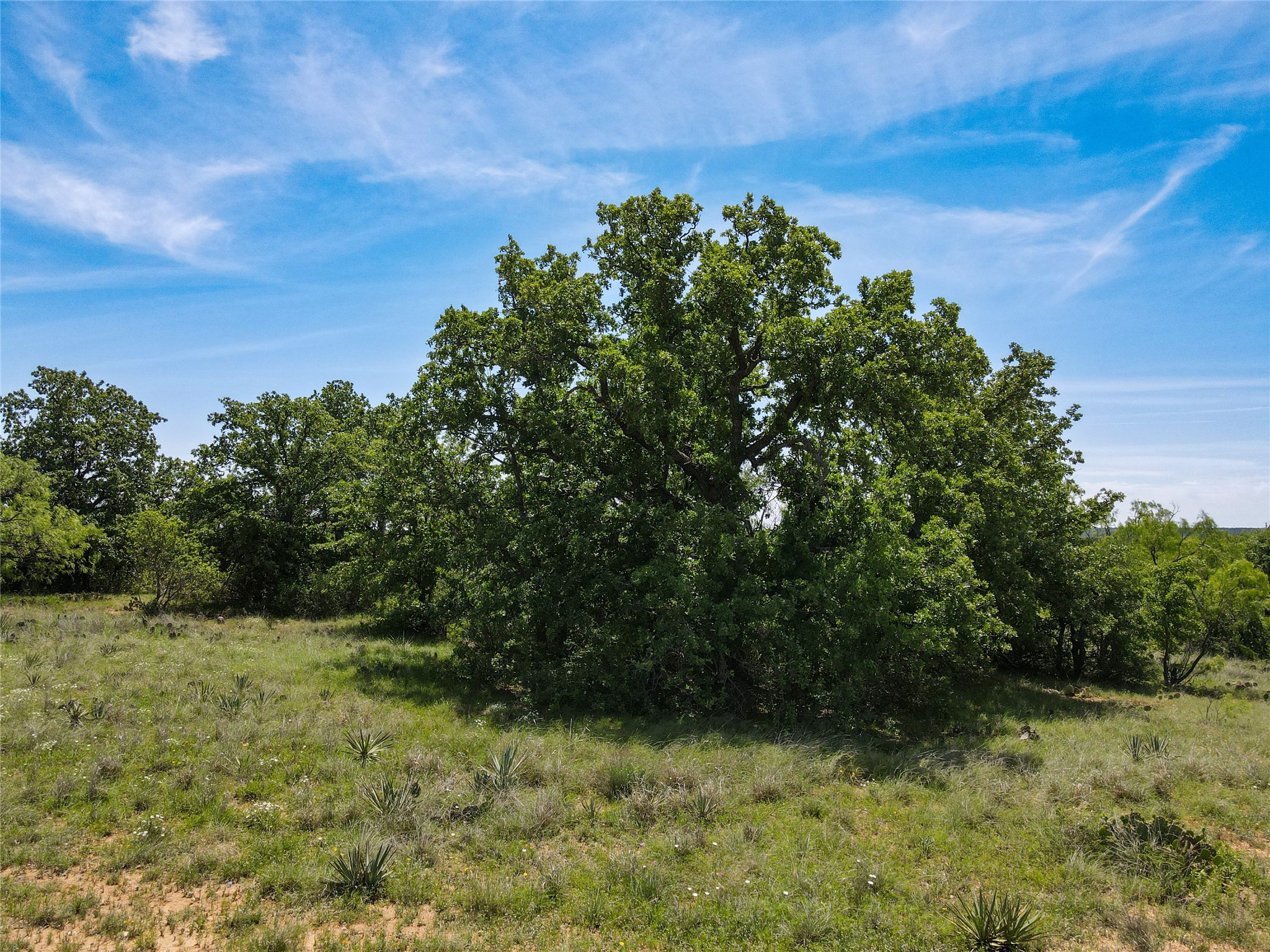 2429 County Road 411 W Brownwood TX 76801