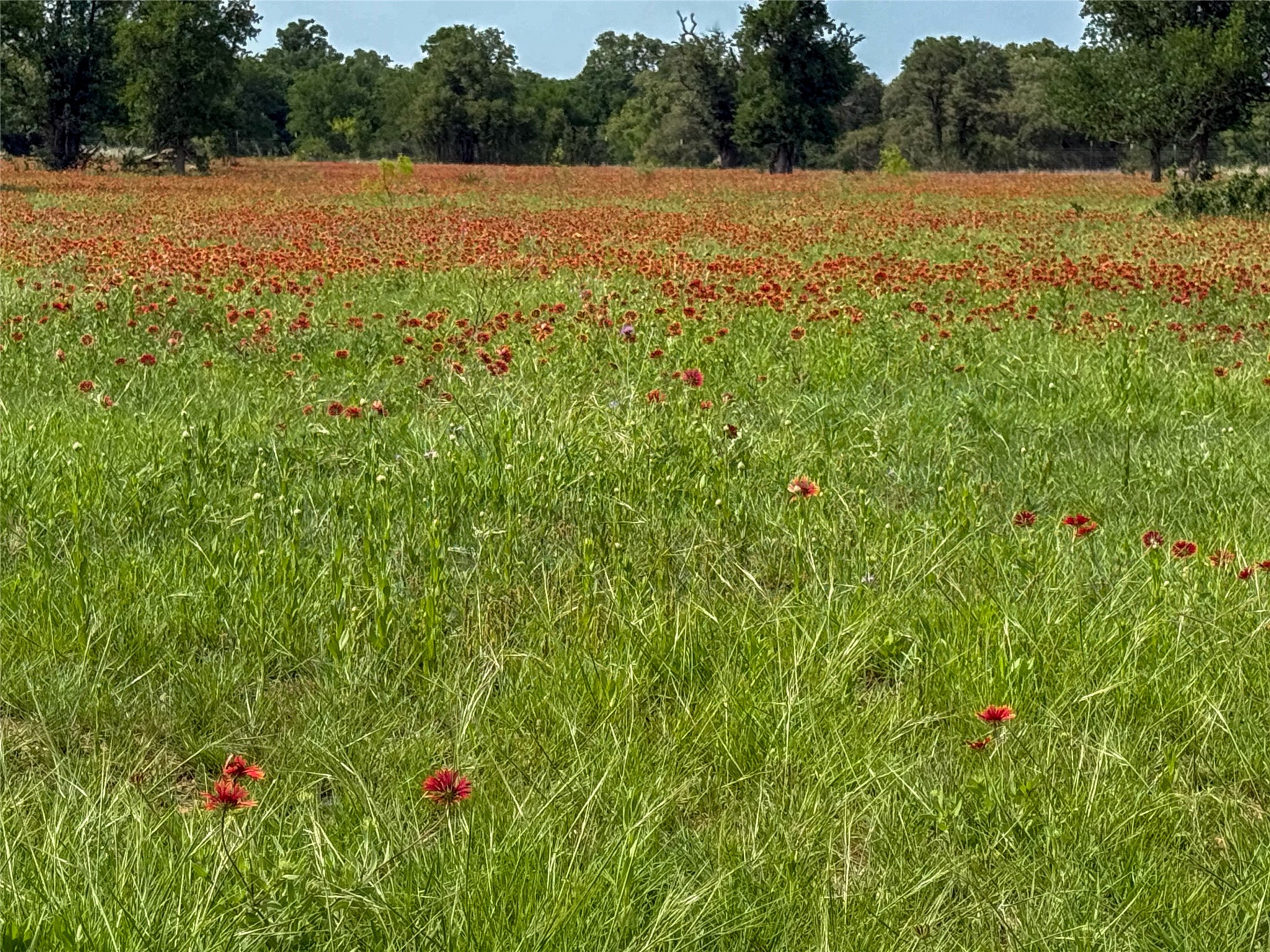 2429 County Road 411 W Brownwood TX 76801