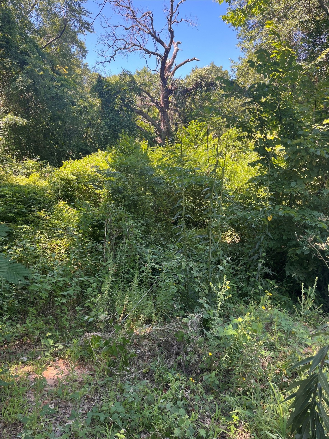 0 Ponderosa Drive Eustace TX 75124
